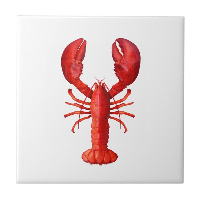 Carreau En Céramique Un crustacé de homard rouge sur blanc (Devant)