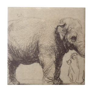 Carreau En Céramique Un éléphant par Rembrandt