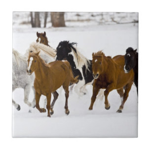 Carreau En Céramique Un paysage hivernal de chevaux au galop