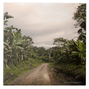 Carreau En Céramique Une route à distance de jungle