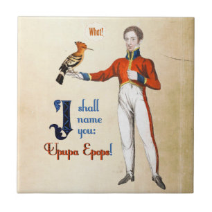 Carreau En Céramique Upupa Epops