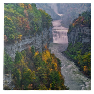 Carreau En Céramique USA, New York, Letchworth State Park. et