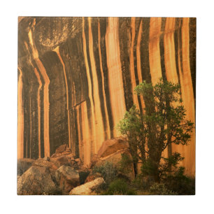 Carreau En Céramique USA, Utah, Parc national du Capitol Reef