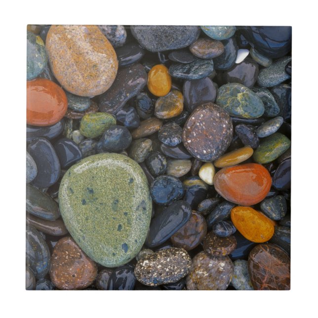 Carreau En Céramique USA, Washington, Lopez Island, Agate Beach (Devant)