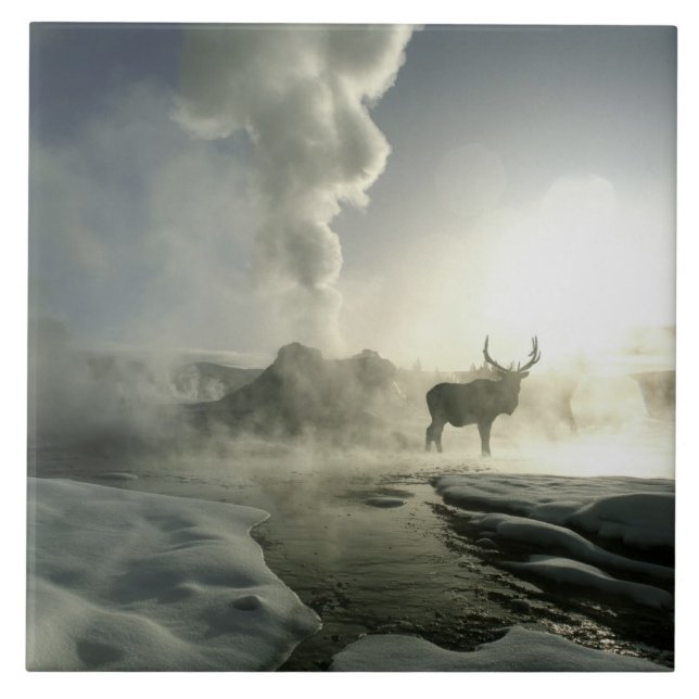 Carreau En Céramique USA, Wyoming, Parc National de Yellowstone. Soleil (Devant)