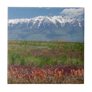 Carreau En Céramique Utah, USA. Le Mont Timpanogos s'élève au-dessus