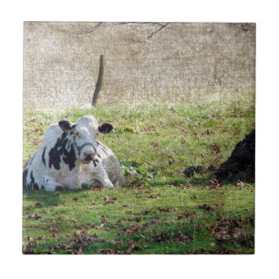Carreau En Céramique Vache laitière reposante