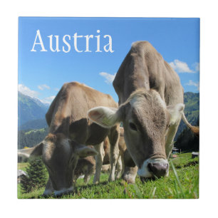 Carreau En Céramique Vaches tyroliennes pâturant sur le versant alpin,