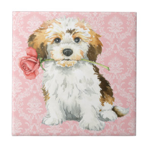 Carreau En Céramique Valentine Havanese rose