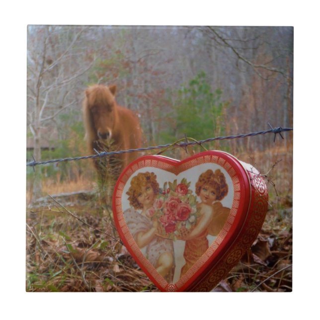 Carreau En Céramique Valentine Heart Miniature Brown Horse (Devant)