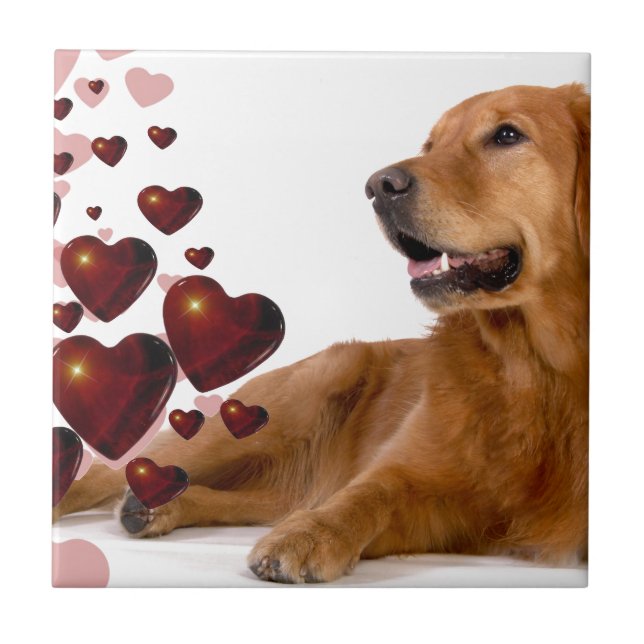 Carreau En Céramique Valentine Red Hearts Golden Retriever Chien (Devant)