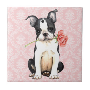 Carreau En Céramique Valentine Rose Boston Terrier