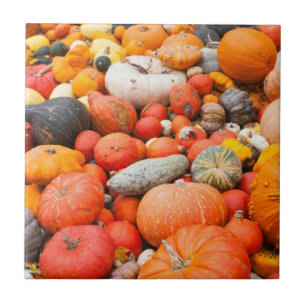 Carreau En Céramique Variété de courges à vendre, Allemagne