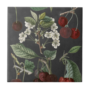 Carreau En Céramique Variétés de verger I