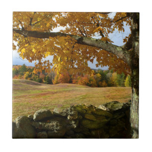 Carreau En Céramique Vermont Vue d'automne