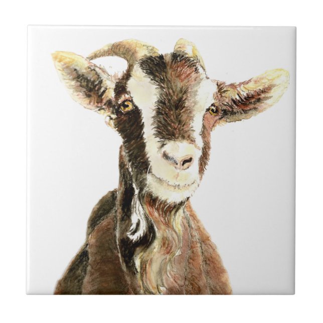 Carreau En Céramique Vielle chèvre mignonne, Humour animal de ferme (Devant)