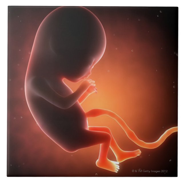 Carreau En Céramique Vieux foetus de deux mois (Devant)