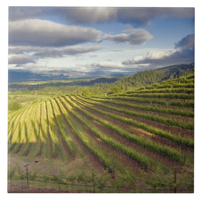 Carreau En Céramique Vignoble. Napa Valley. Napa. Comté de Napa, (Devant)
