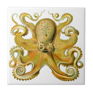 Carreau En Céramique Vintage Ernst Haeckel Octopus en jaune