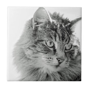 Carreau En Céramique Visage pelucheux mignon de chat