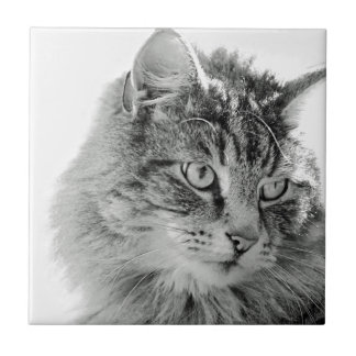 Carreau En Céramique Visage pelucheux mignon de chat