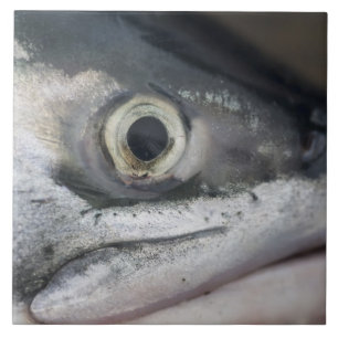 Carreau En Céramique Visage Saumon argenté