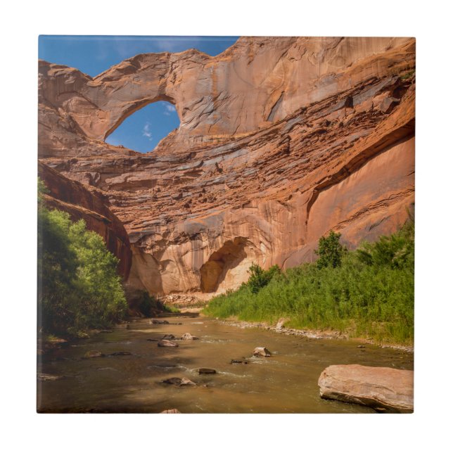 Carreau En Céramique Voûte de Stevens - rivière d'Escalante - l'Utah (Devant)