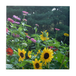 Carreau En Céramique Vue jardin tournesols marguerites verdure forêt