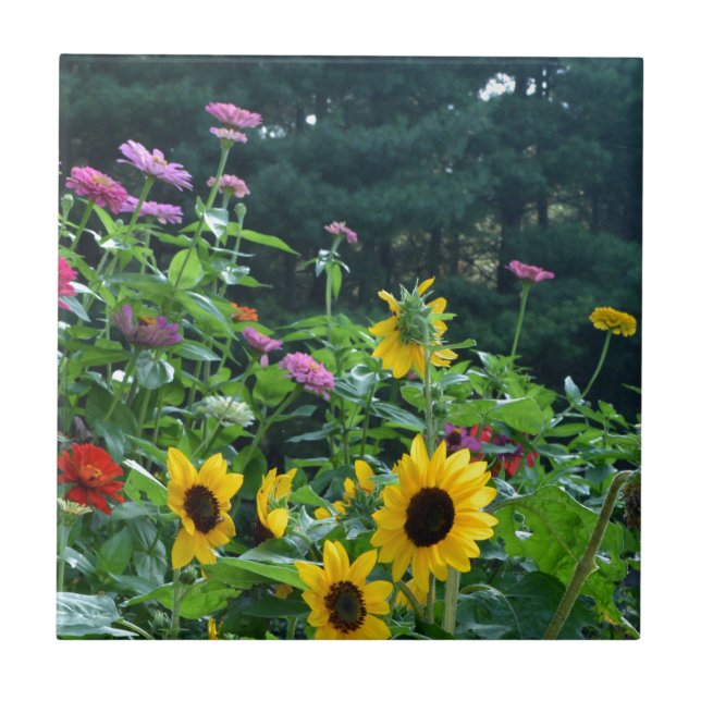 Carreau En Céramique Vue jardin tournesols marguerites verdure forêt (Devant)