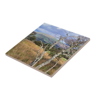 CARREAU EN CÉRAMIQUE VUES DES ALLES