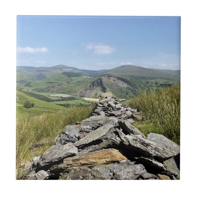 CARREAU EN CÉRAMIQUE VUES DES ALLES (Devant)