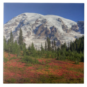 Carreau En Céramique WA, Parc national du Mont-Rainier, Paradise Valley