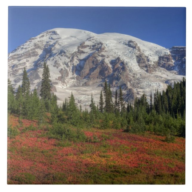 Carreau En Céramique WA, Parc national du Mont-Rainier, Paradise Valley (Devant)
