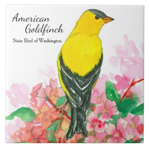 Carreau En Céramique Washington Souvenir American Goldfinch Jaune