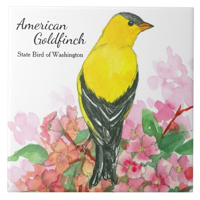 Carreau En Céramique Washington Souvenir American Goldfinch Jaune (Devant)