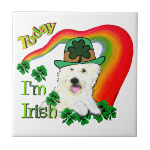Carreau En Céramique West Highland White Terrier St Pats