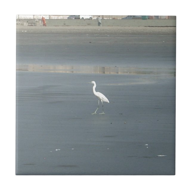 Carreau En Céramique White Bird on Grey Sand Beach Art Imprimer (Devant)