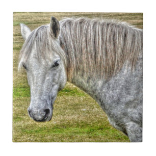 Carreau En Céramique White New Forest Pony Wild Horse