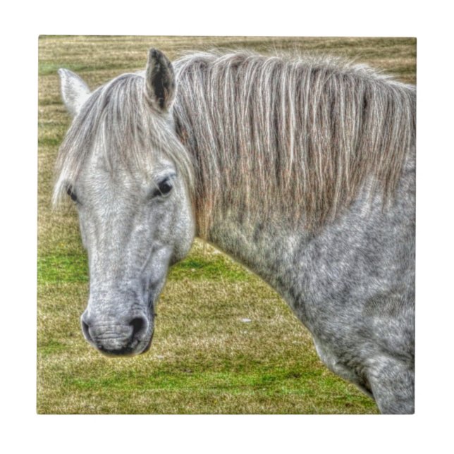 Carreau En Céramique White New Forest Pony Wild Horse (Devant)