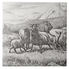 Carreau En Céramique Wm Wise Minton Farm Animals Chèvres Tile Repro c18