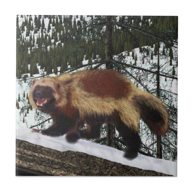 Carreau En Céramique Wolverine (Devant)