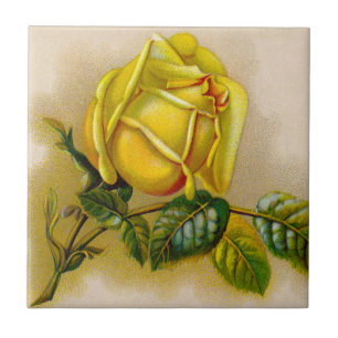 Carreau En Céramique Yellow Rose Artwork