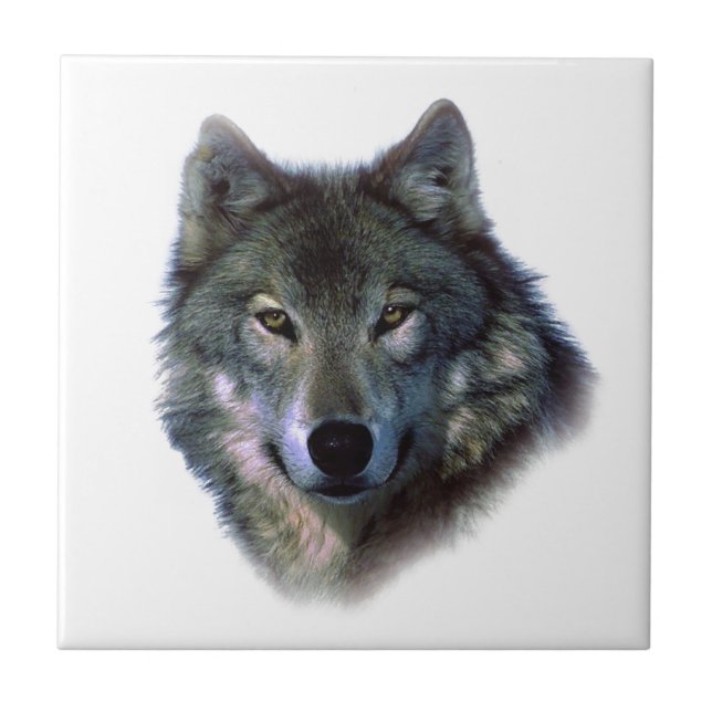 Carreau En Céramique Yeux de loup gris (Devant)