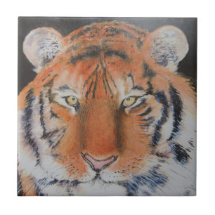 Carreau En Céramique Yeux de tigre