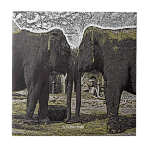 Carreau En Céramique Yeux éléphants