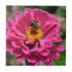 Carreau En Céramique Zinnia rose et bourdon