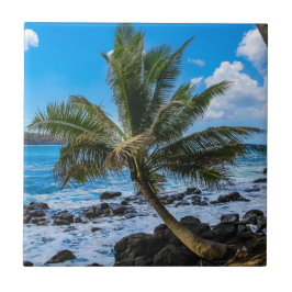 Carreau En train de rester...