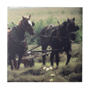 Carreau Équipement tiré à cheval Agriculture de foin