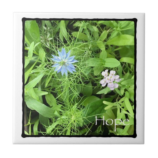 Carreau Espoir (Devant)