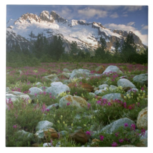 Carreau États-Unis, Alaska, Alsek-Tatshenshini Wilderness.